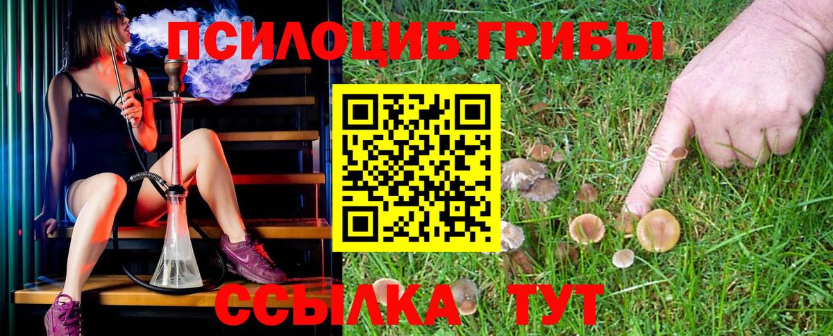 Галлюциногенные грибы прущие грибы  Галлюциногенные грибы Cubensis  Вход с VPN  Котельники 